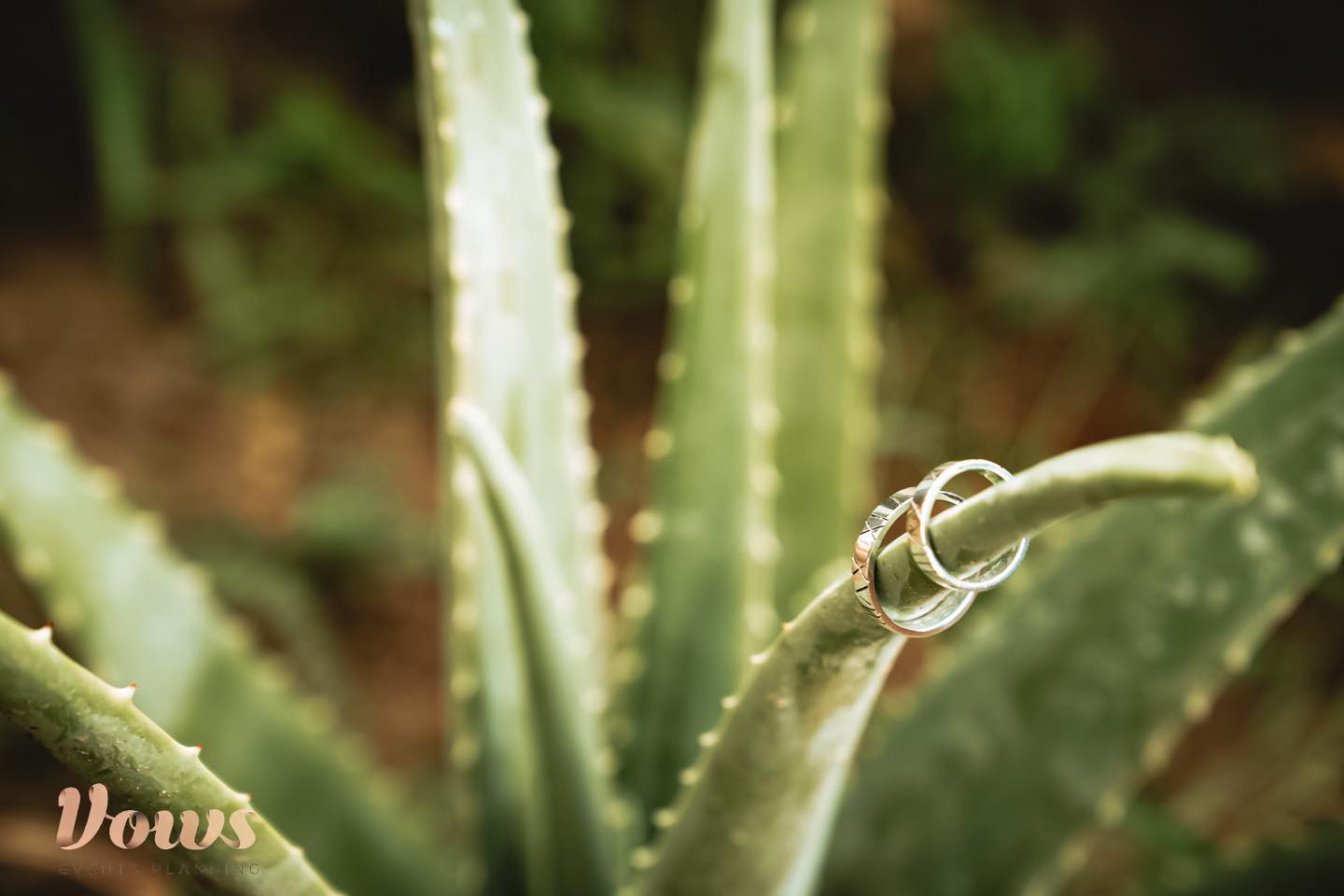 161258744_2882098832006320_7996477937862813138_n