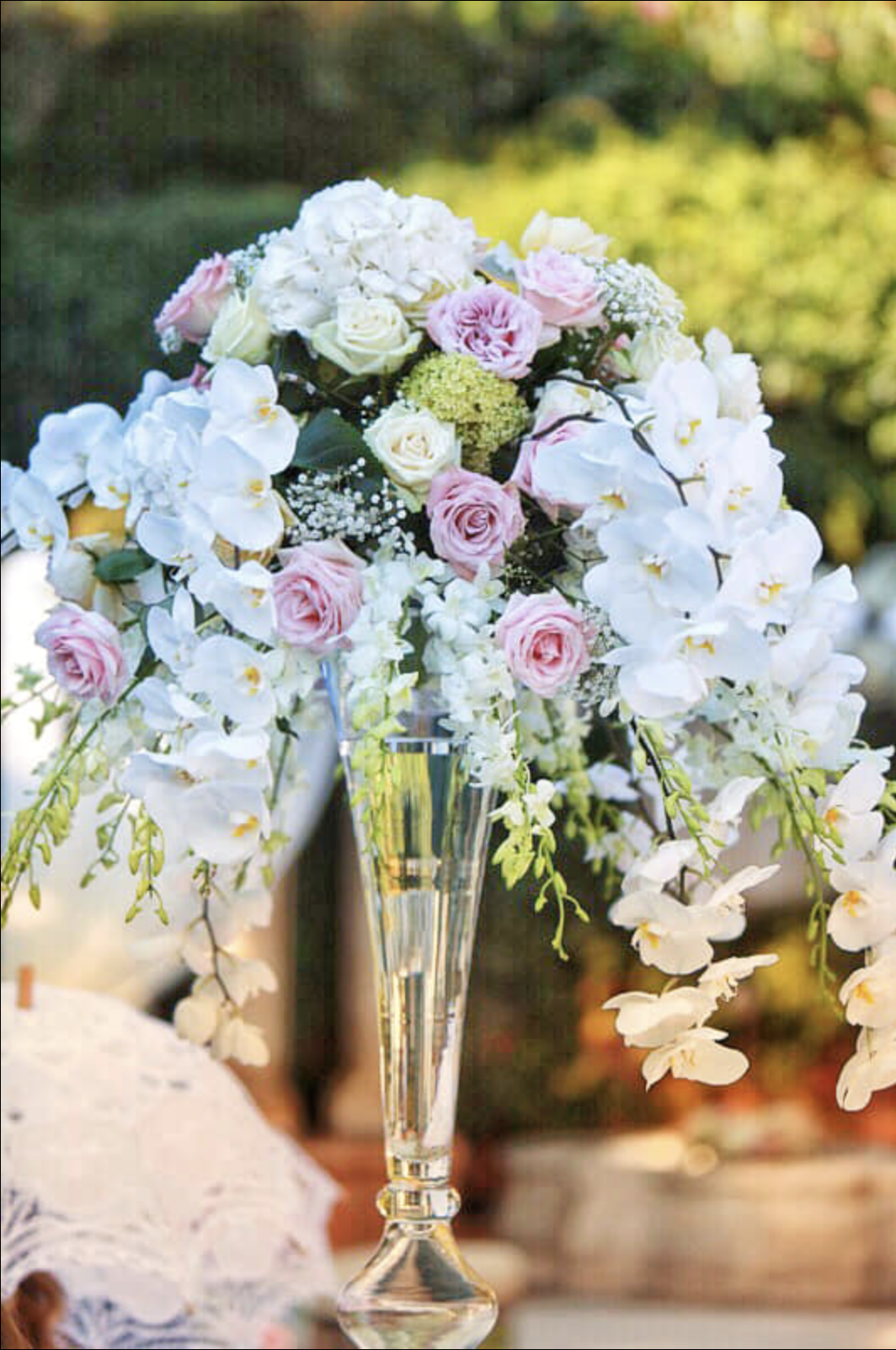 Captura de pantalla 2022-12-06 a las 17.27.31